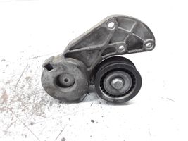 Volkswagen Phaeton Generator/alternator belt tensioner 