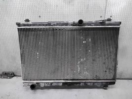 Hyundai Santa Fe Radiateur de refroidissement 