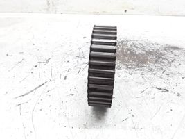Renault Scenic I Camshaft pulley/ VANOS 