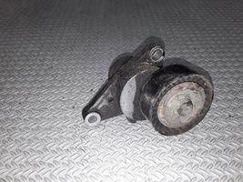 Citroen C2 Diržo įtempėjas 9652073680