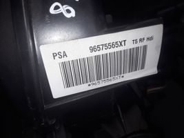 Peugeot 307 Sisälämmityksen ilmastoinnin korin kokoonpano 96575565XT