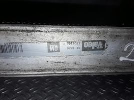 Opel Signum Dzesēšanas šķidruma radiators 870824G