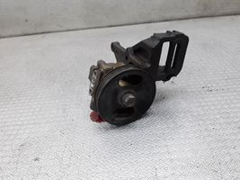 Hyundai Terracan Power steering pump 