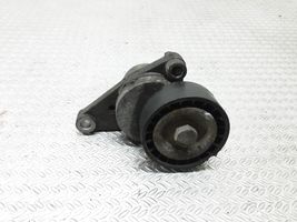 Citroen C2 Diržo įtempėjas 9652073680