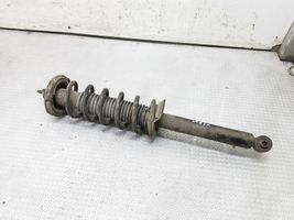 Honda Accord Rear shock absorber with coil spring 