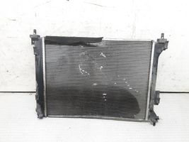 Hyundai i20 (PB PBT) Radiador del refrigerante R214KP8AA