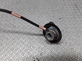 Volkswagen Golf Plus Antenna autoradio 