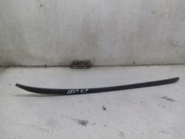 Audi A6 S6 C6 4F Windshield trim 