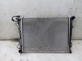 Hyundai Grandeur Coolant radiator 