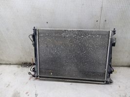 Hyundai Grandeur Coolant radiator 