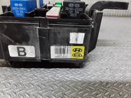 Hyundai Grandeur Module de fusibles 919503K540