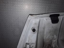 Opel Vivaro Couvercle, capot moteur 