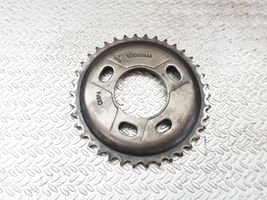 Ford Transit Timing chain sprocket 6C1Q6256AB