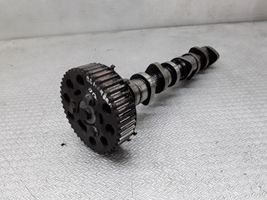 Volkswagen Golf IV Camshaft 