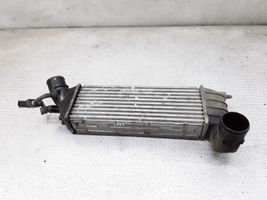 Peugeot 807 Chłodnica powietrza doładowującego / Intercooler 1489396080