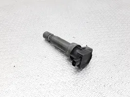 Hyundai Grandeur High voltage ignition coil 273013C000