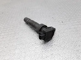 Hyundai Grandeur High voltage ignition coil 273013C000