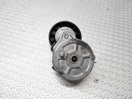 Citroen C5 Napinacz paska alternatora TL310DA