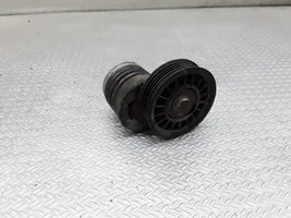 Volkswagen PASSAT B5 Napinacz paska alternatora 