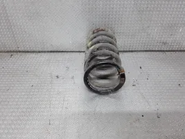 Hyundai Santa Fe Rear coil spring 