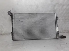 Volkswagen PASSAT B6 Radiatore di raffreddamento 3C0121253S