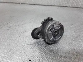 Peugeot 806 Napinacz paska alternatora 