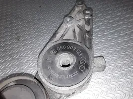 Audi A4 S4 B5 8D Diržo įtempėjas 058903133