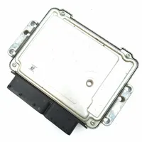 KIA Soul Centralina/modulo motore ECU 391172A121