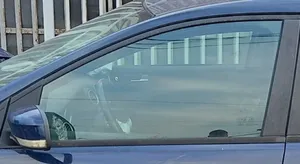 Ford Focus Fenster Scheibe Schiebetür Seitentür 4M51A21411AE