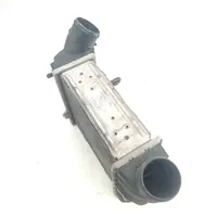 Volkswagen Fox Chłodnica powietrza doładowującego / Intercooler IA1180862403N