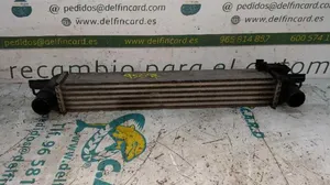 Citroen Nemo Chłodnica powietrza doładowującego / Intercooler L8119001