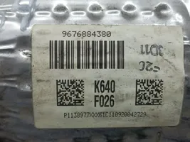 Citroen C4 II Filtr cząstek stałych Katalizator / FAP / DPF 9676884380