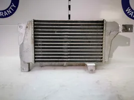 Tata Safari Chłodnica powietrza doładowującego / Intercooler 