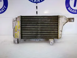 Tata Safari Chłodnica powietrza doładowującego / Intercooler 