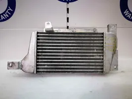 Tata Safari Chłodnica powietrza doładowującego / Intercooler 