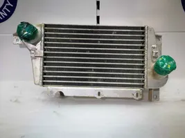 Tata Safari Chłodnica powietrza doładowującego / Intercooler 