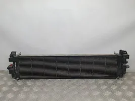 Ford Kuga III Interkūlerio radiatorius F1F18D048AB