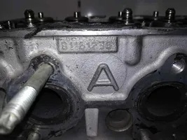 Ford Fiesta Testata motore B1161236