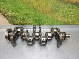 Volkswagen Golf VII Crankshaft 04EAJ