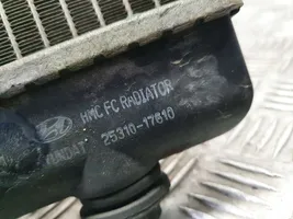 Hyundai Matrix Radiatore di raffreddamento 2531017610