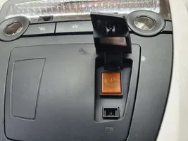 BMW X3 F25 Rivestimento della console di illuminazione installata sul rivestimento del tetto 930226501