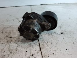 Mercedes-Benz Vito Viano W639 Alternator belt tensioner 