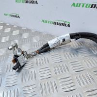 Peugeot 2008 I Minuskabel Massekabel Batterie 9816283680