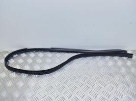 Audi RS7 C7 Front door rubber seal 4G8854543