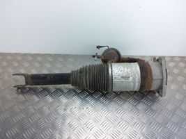 Audi A8 S8 D3 4E Ammortizzatore/sospensione pneumatica 4E0616002E