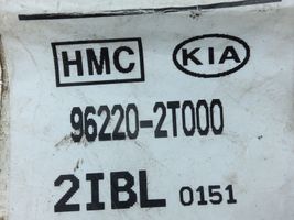 KIA Optima Radio antena 962202T000