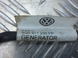 Audi A3 S3 8V Laidai (generatoriaus) 5Q0971230FP