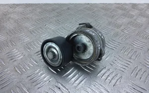 Peugeot 208 Napinacz paska alternatora 9675874680