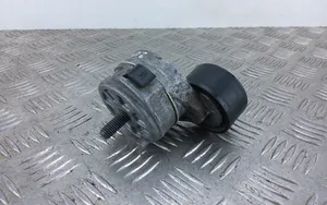 Peugeot 208 Napinacz paska alternatora 9675874680