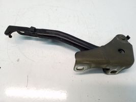 Chrysler 200 Engine bonnet/hood hinges 719AA